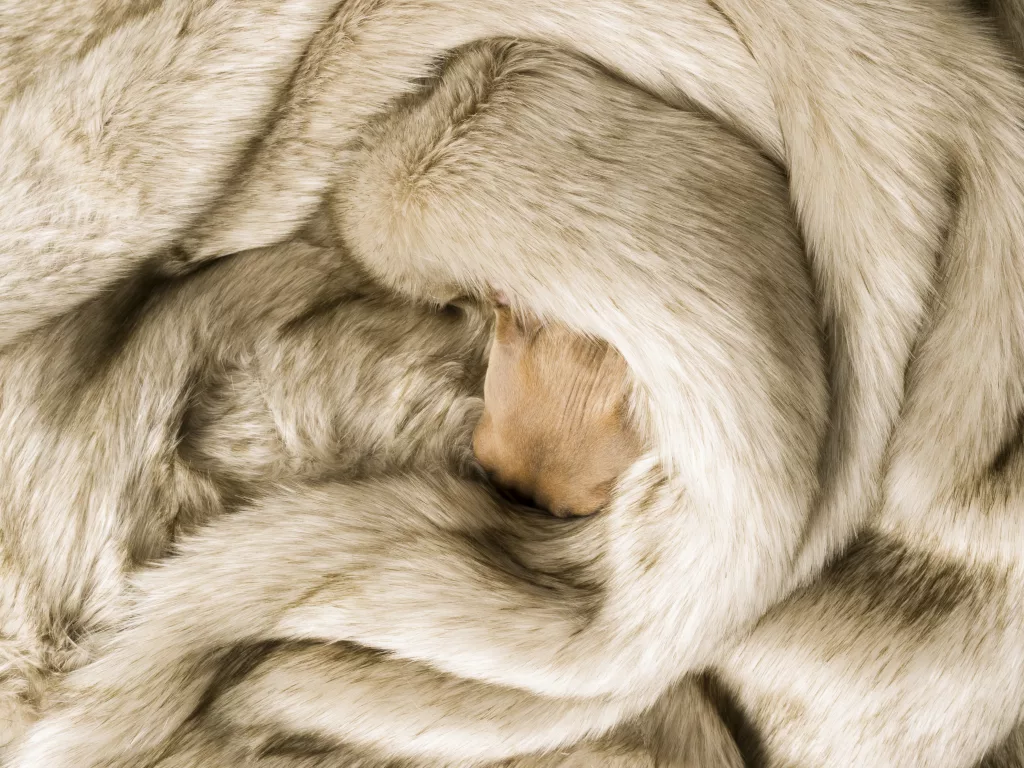 Charley Chau Faux-Fur Dog Blanket 