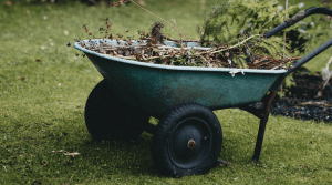Winter Gardening Header