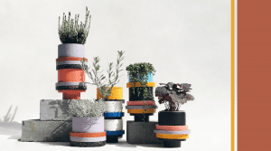 Mescla design studio header