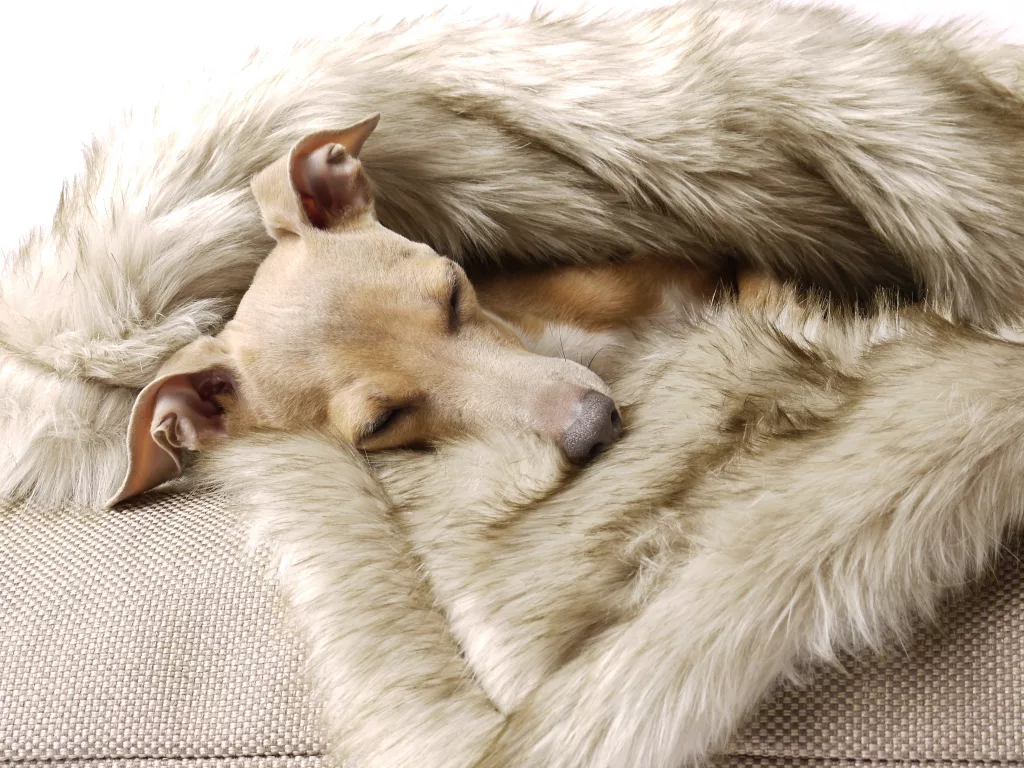 Luxury Dog Bedding