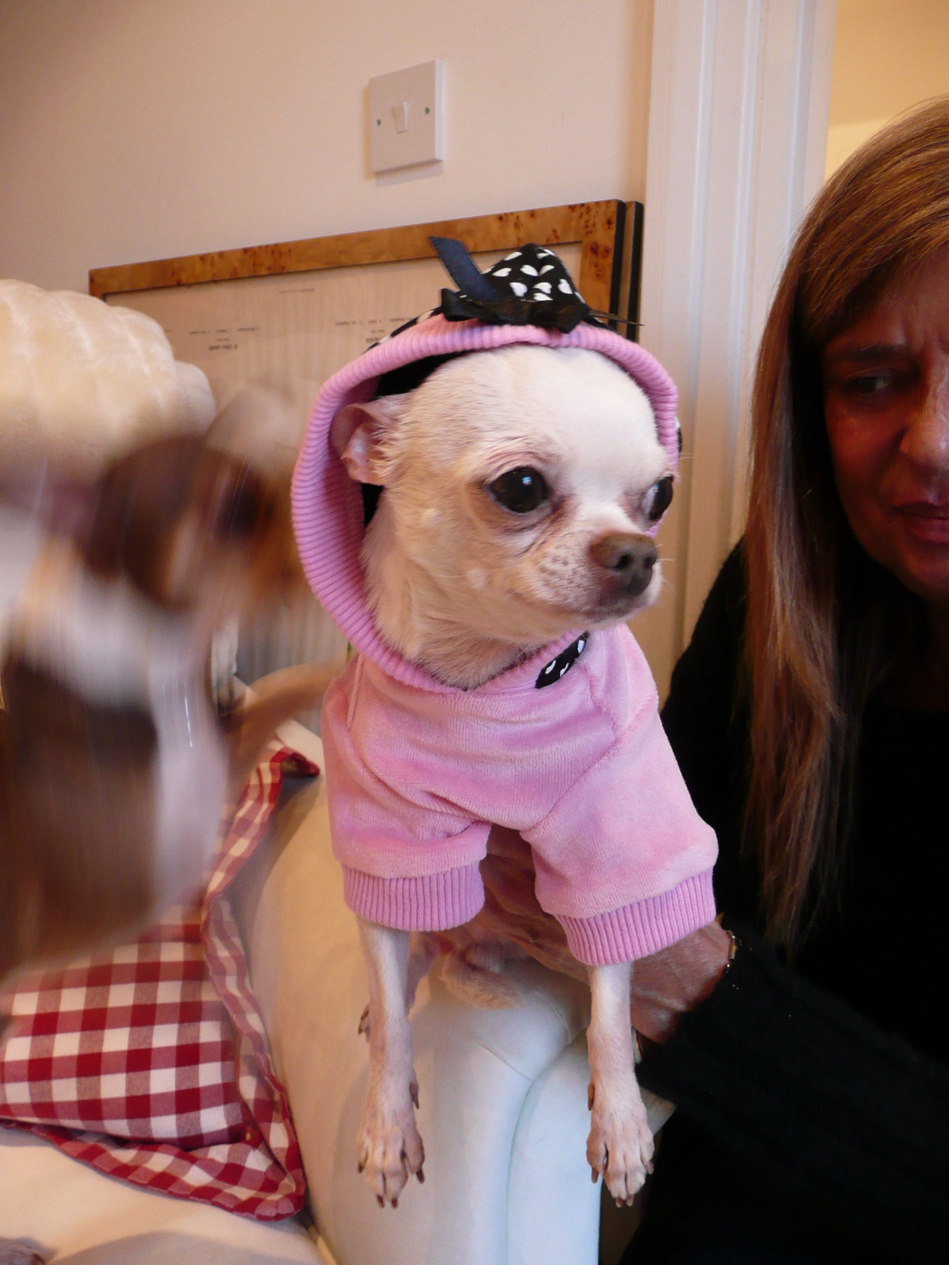 Ayshea Brough, Bonnie & Tiggy