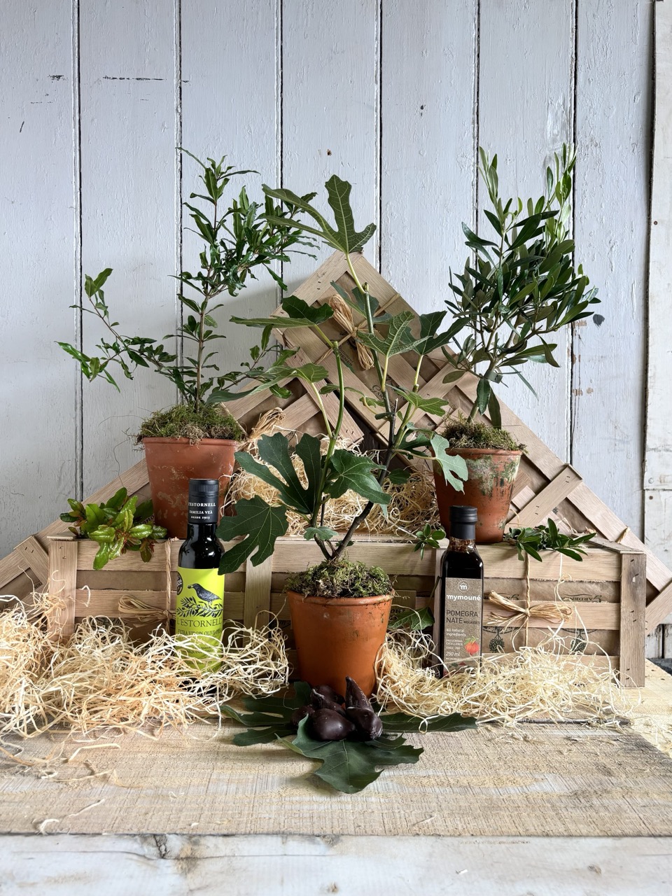 The Gluttonous Gardener Mediterranean Hamper with fig, olive, pomegranate and orange trees
