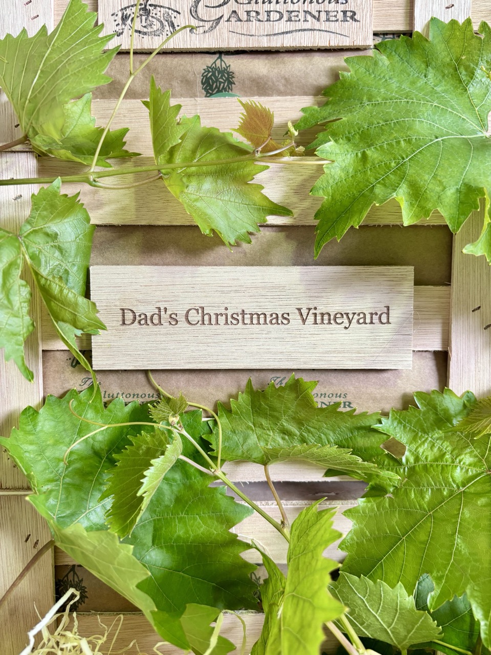 Dad's Christmas Vineyard gift with two grape vines and a personalised plaque